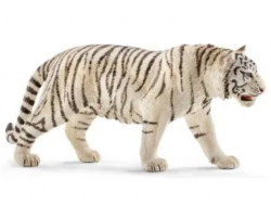 Tiger, white