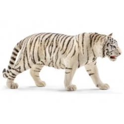 Tiger, white