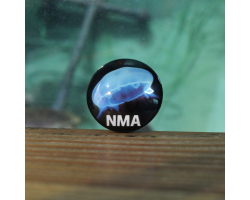 NMA Jellyfish Magnet