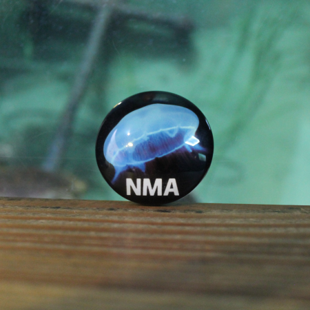 NMA Jellyfish Magnet