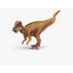 Pachycephalosaurus