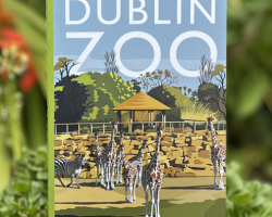 Savannah Design Copybook