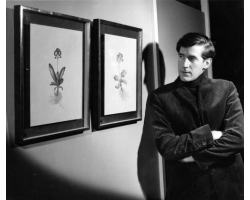 When you make your purchase, you will be emailed the viewing link and password within an hour.