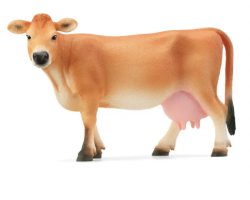 Jersey Cow