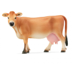 Jersey Cow