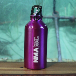 NMA Aluminium Bottle - Purple