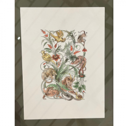 Victorian Animals by Catarina Pignato