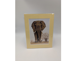 A brush with Africa Elephant (1E)