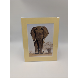 A brush with Africa Elephant (1E)