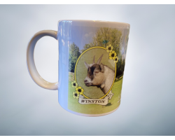 Adopt a Goat Mug- Winston