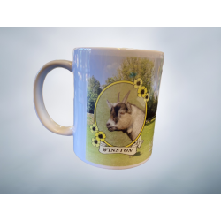 Adopt a Goat Mug- Winston