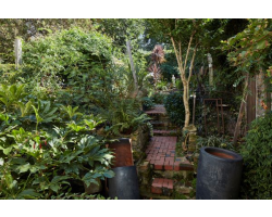 When you make your purchase, you will be emailed the viewing link and password within an hour.