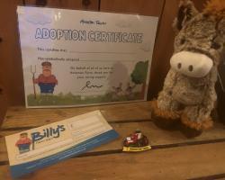 Donkey Adoption Pack
