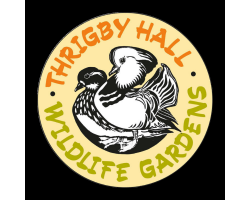 Any Other Animal Adoption