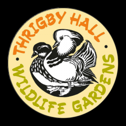 Any Other Animal Adoption