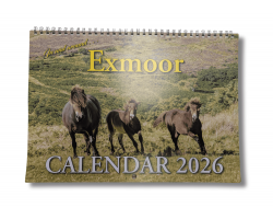 Exmoor 2026 Landscape Calendar