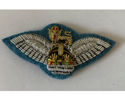 SNCO Mess Dress Wings (light blue background)