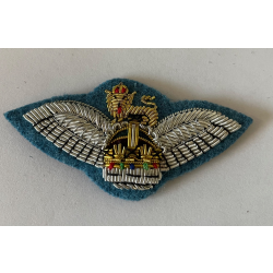SNCO Mess Dress Wings (light blue background)