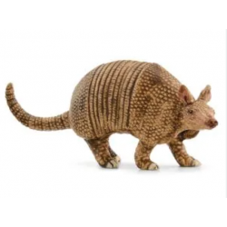 Armadillo