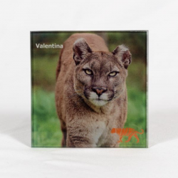 Coaster - Valentina