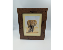 A brush with Africa Elephant (1H) Framed