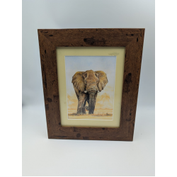 A brush with Africa Elephant (1H) Framed