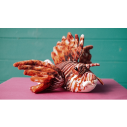 Zappi Lionfish - Soft Toy