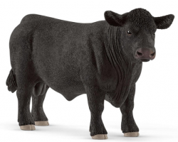 Black Angus Bull