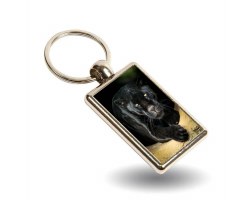 Key Ring - Neron