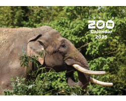 Dublin Zoo Calendar