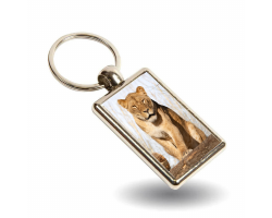 Key Ring - Lira