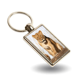 Key Ring - Lira