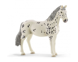 Knabstrupper Mare