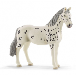 Knabstrupper Mare