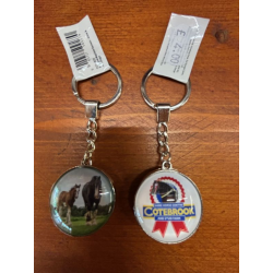 Cotebrook dome keyring