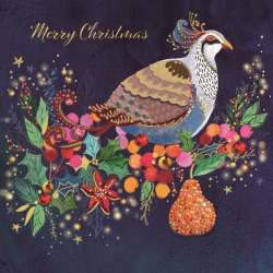 'Colourful Partridge' Christmas Cards