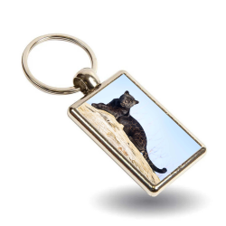 Key Ring - Neron