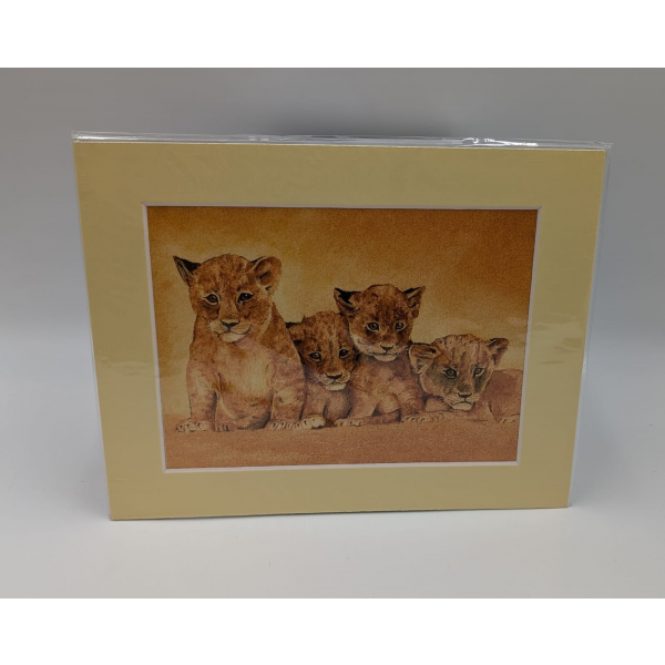 A brush with Africa Lion Cub Pack