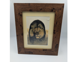 A brush with Africa Lion Framed