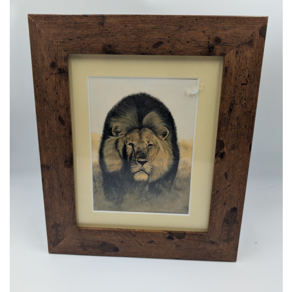 A brush with Africa Lion Framed