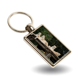Key Ring - White Lions