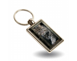 Key Ring- Boson