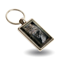 Key Ring- Boson