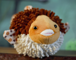 Pufferfish Soft Toy - Large