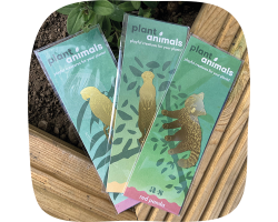 Set of Plant Hangers