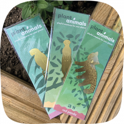 Set of Plant Hangers