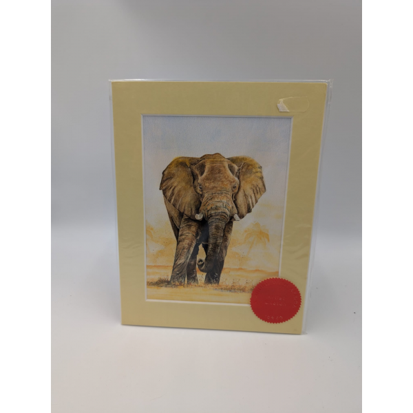 A brush with Africa Elephant (1H)