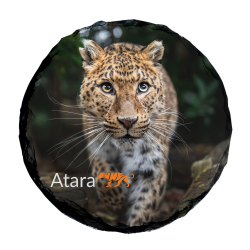 Slate Coaster- Atara