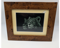 A brush with Africa Lioness Pair Black & White Framed