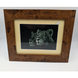 A brush with Africa Lioness Pair Black & White Framed